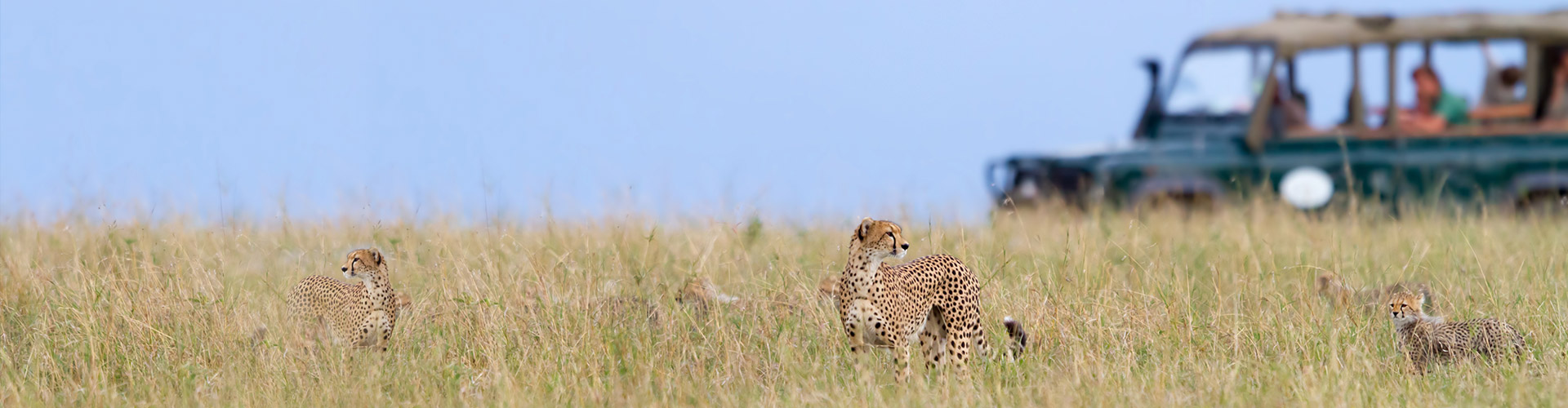 Tanzania and Zanzibar